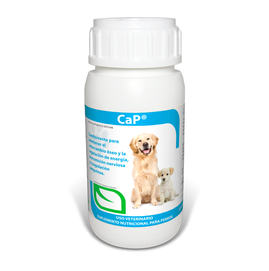Ca-P