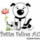 Patitas Felices A.C.