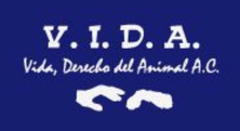 V.I.D.A. A.C.